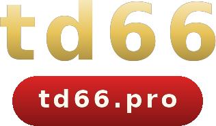 td66 logo